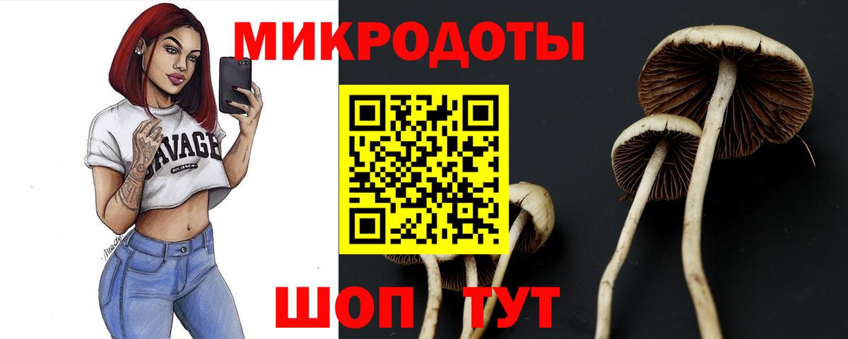 Полевской  Галлюциногенные грибы Psilocybe  Вход с VPN 